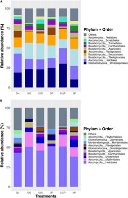 Does Shift in Vegetation Abundance After Nitrogen and Phosphorus Additions Play a Key Role in Regulating Fungal Community Structure in a Northern Peatland?